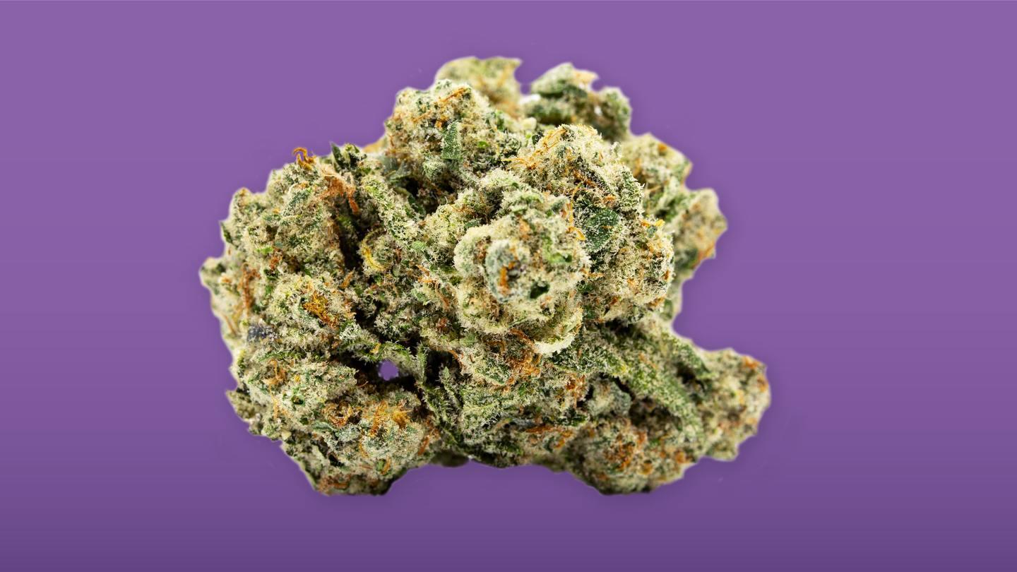 triangle kush