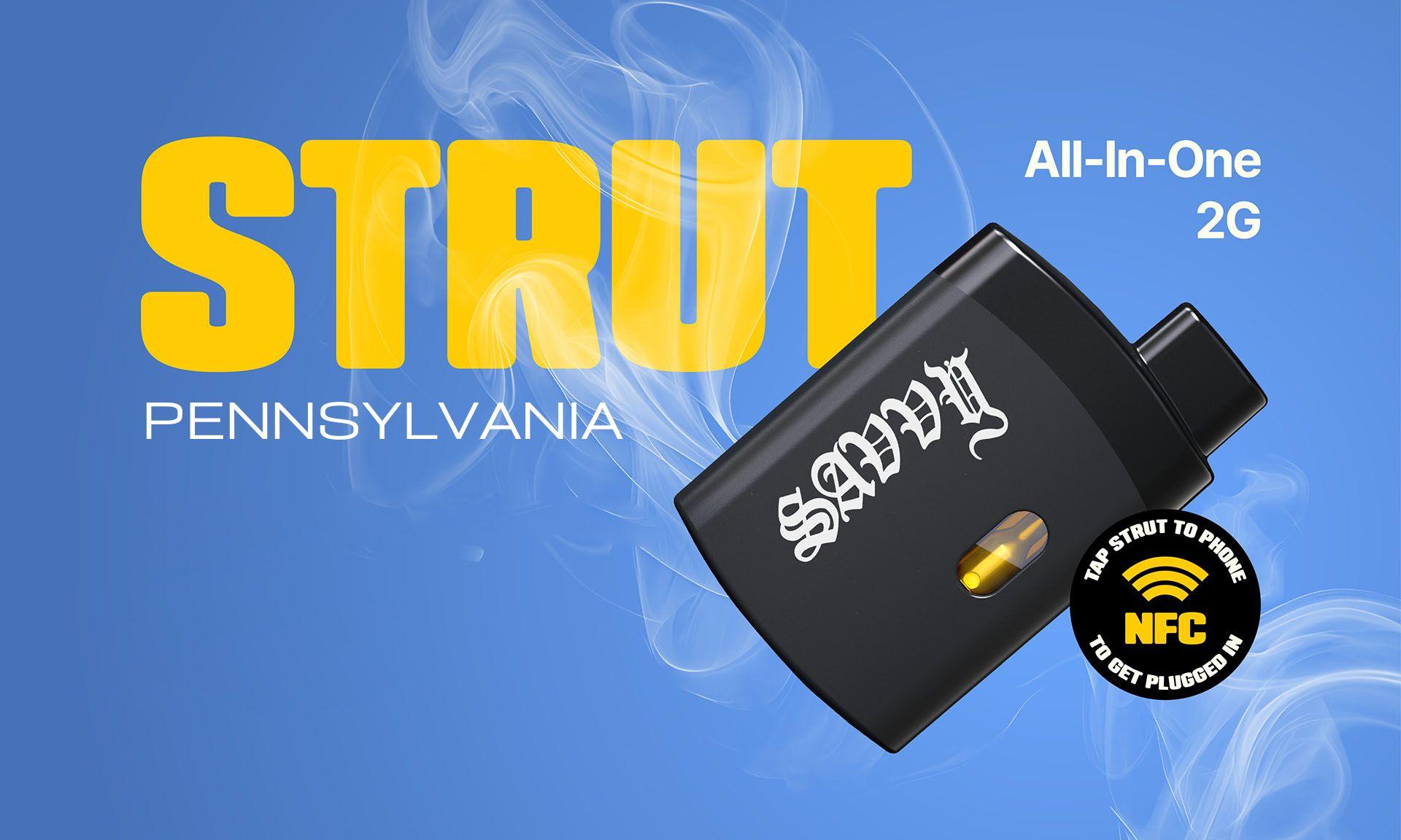 SAVVY STRUT PA
