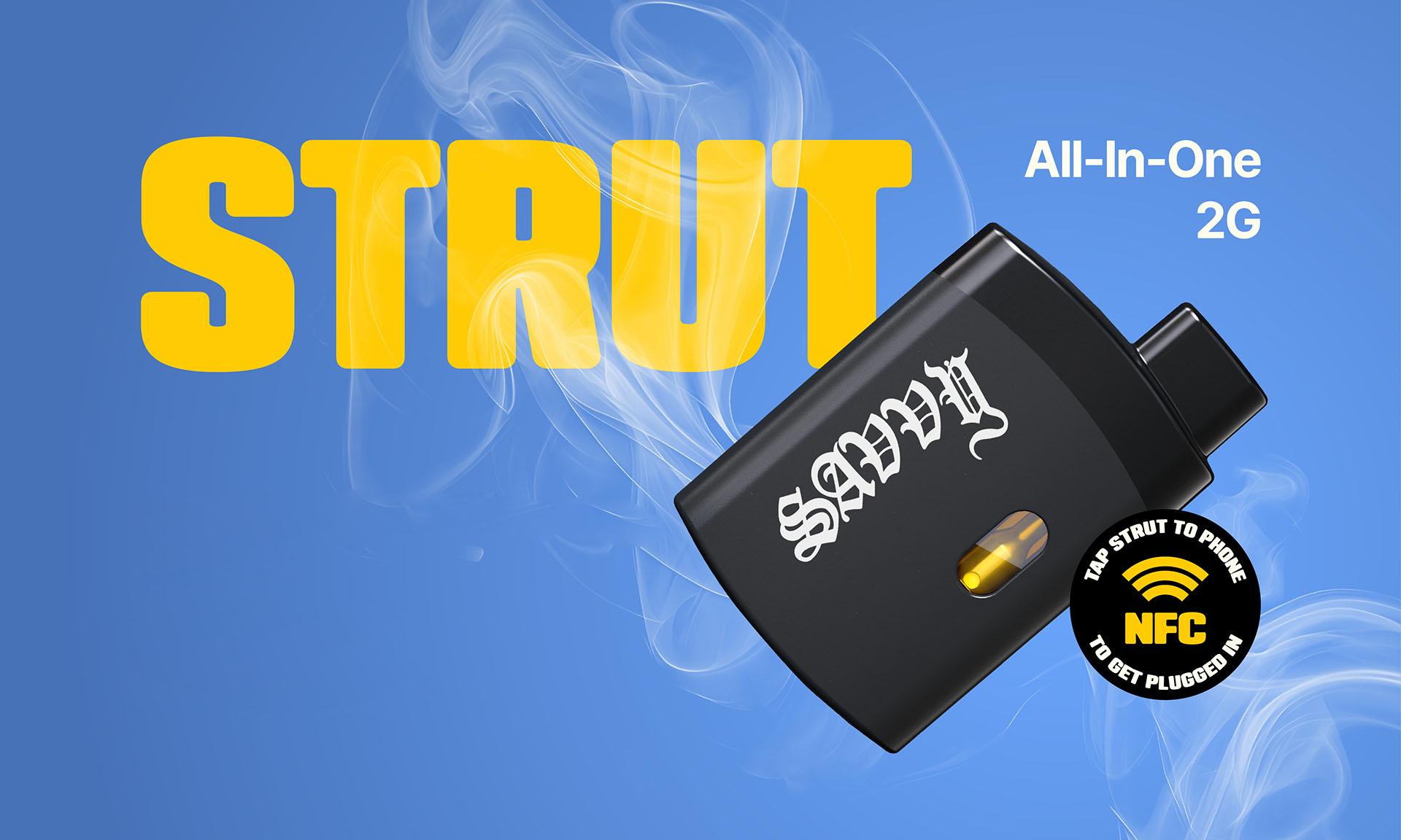 Savvy 2G All-In-One