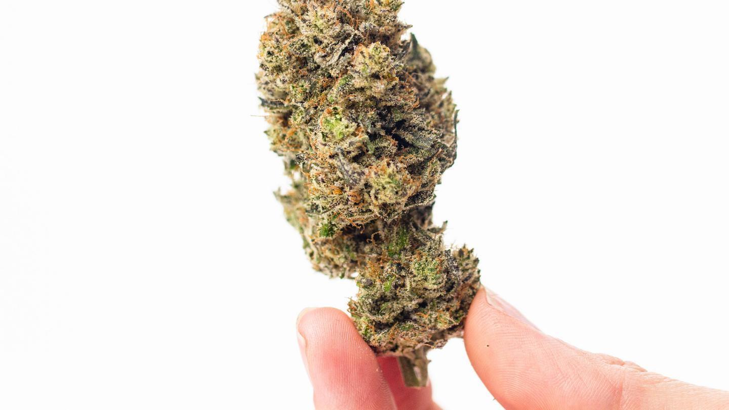 Strains with high thc