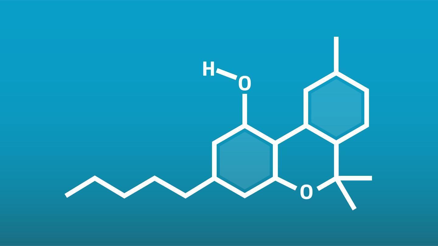 natural vs. synthetic cannabinoids